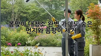봄맞이 대청소 완벽 가이드: 숨은 먼지와 곰팡이 제거!