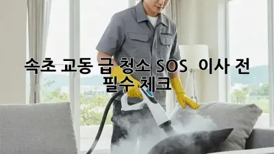 속초 교동 급 청소 SOS 🚨 이사 전 필수 체크!